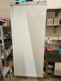 Frigorifero ARMADIO REFRIGERATO 600LT Produttore C