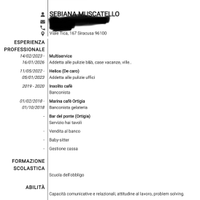 Commessa, addetta alle pulizie, o altri settori