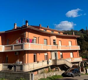 Ampio e luminoso appartamento con mansarda