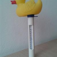 Termometro galleggiante papera