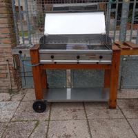 Griglia con piastra e fuochi