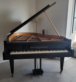 pianoforte a coda