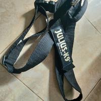JULIUS- K 9     pettorine  per cani taglia grande 