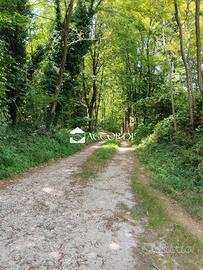 Rif.ZT65_1| terreno agricolo giavera del montello