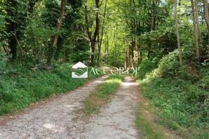 Rif.ZT65_1| terreno agricolo giavera del montello