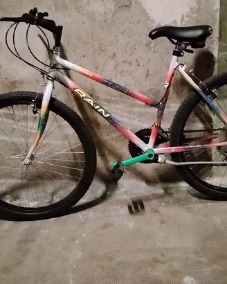 bicicletta da 26 Shimano rain 