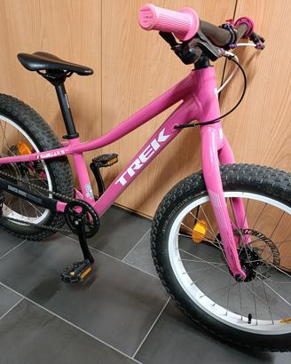 Trek Roscoe 20"