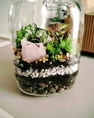 Terrari