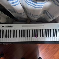 SAMSON Midi Carbon 61