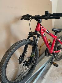 Mtb bambino