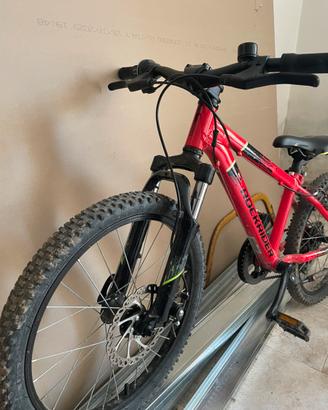 Mtb bambino