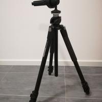 Cavalletto e testa Manfrotto