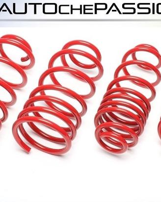 Kit molle sportive Ta Tecnix per Seat Ibiza 6L 02 