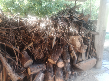 Taglio erba, piante secche, sgombero