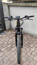 E.bike KTM Action XS