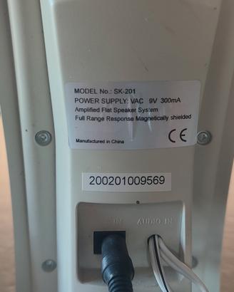 Casse amplificate da tv o pc