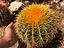 Immagine 5