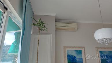 Climatizzatore Daikin 12000 e 9000