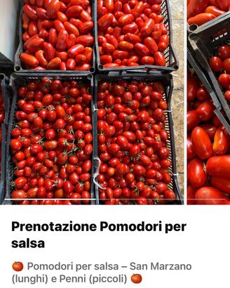 Pomodori san marzano o pomodoro tondo