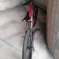 bici MTB