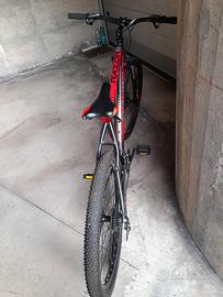 bici MTB