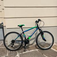 MTB Montana Escape 24