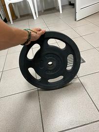 coppia dischi 15kg bumpers foro 30mm