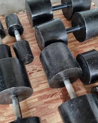 Lotto manubri palestra 165 kg in cemento armato