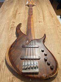 Basso Meridian Aural II