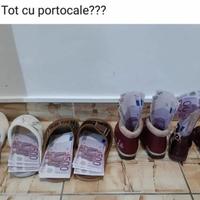 Ho patente C+E, CQC, carta tachigrafo + esperienza