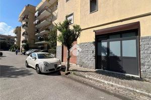 NEGOZIO A POLLENA TROCCHIA