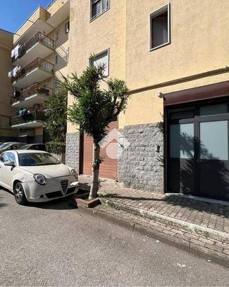 NEGOZIO A POLLENA TROCCHIA