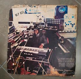 William Onyeabor - Anything you Sow [Wilfilms]