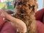 Immagine 13