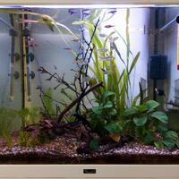 Acquario 100 litri con mobiletto originale