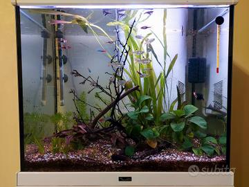 Acquario 100 litri con mobiletto originale