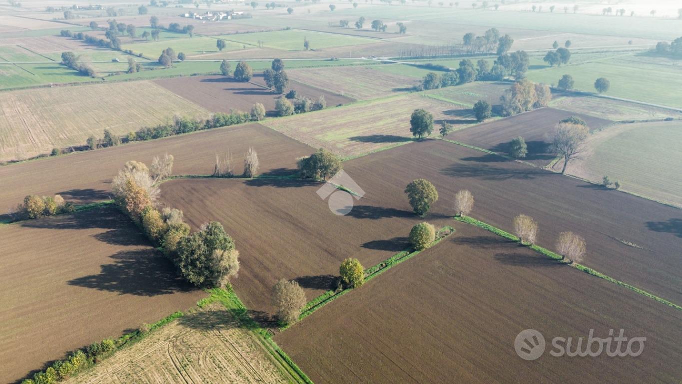 TERRENO A SAN DANIELE PO - Vista 3