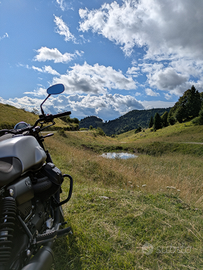 Moto Guzzi V7 Stone