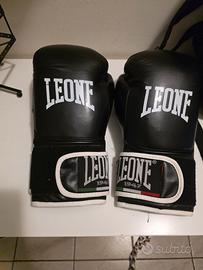 guantoni box LEONE E VENUM