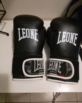 guantoni box LEONE E VENUM