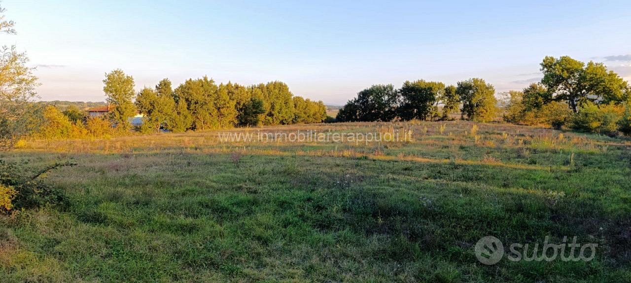 CL255 - Porzione di casale panoramico con terreno - Vista 5