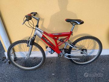 Bicicletta 