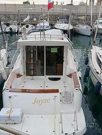 Sessa Dorado 36 Fly