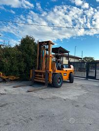 S139 - Muletto 130 q Raniero