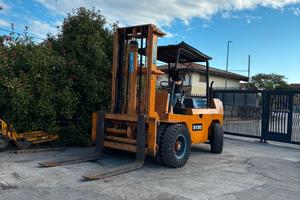 S139 - Muletto 130 q Raniero