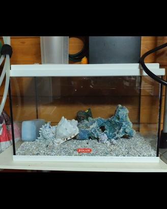 Acquario