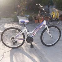 bicicletta