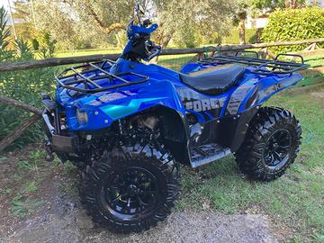 Quad Kawasaki KFV 750 Brute Force