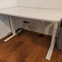 Scrivania IKEA TROTTEN