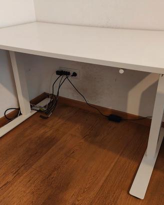 Scrivania IKEA TROTTEN